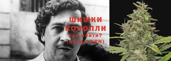 бошки Кодинск