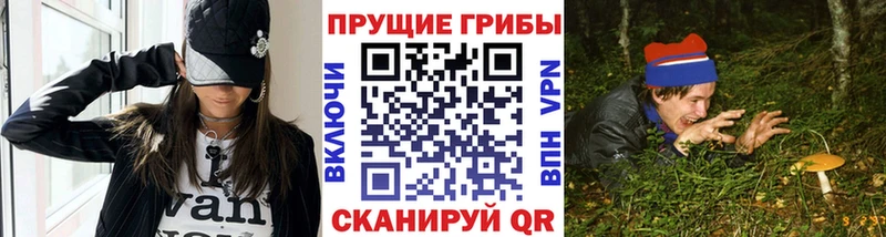 Галлюциногенные грибы Psilocybe Купить закладки Ревда
